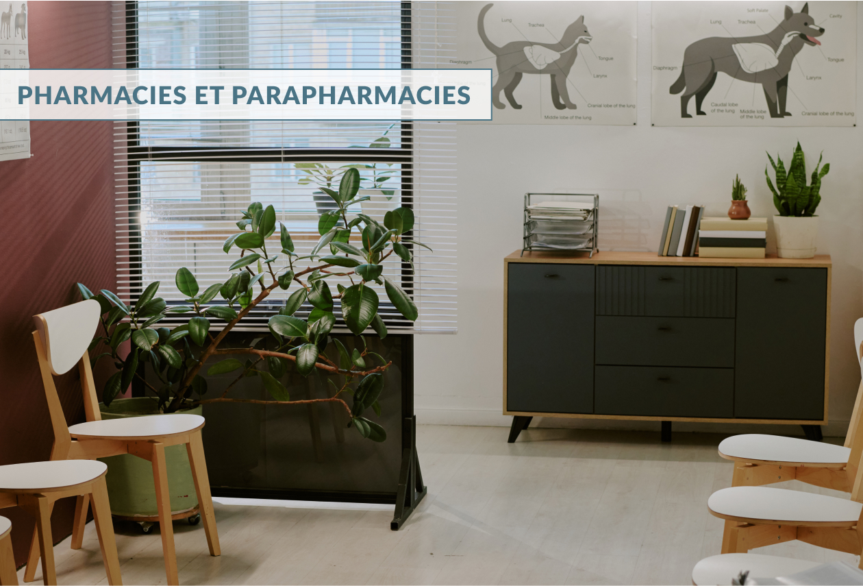 Salle d'attente d'une clinique vétérinaire aux murs rouges et blancs, avec du mobilier en bois design